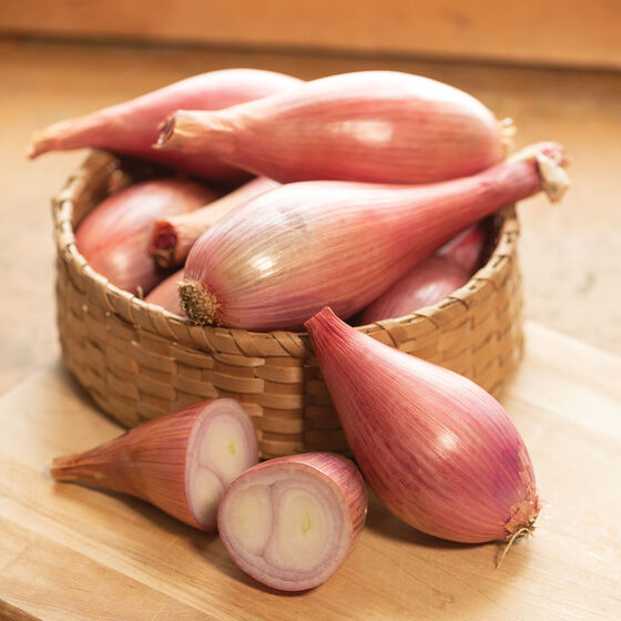 Crème Brûlée Shallots